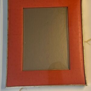 Orange Ostrich 5X7 Frame.